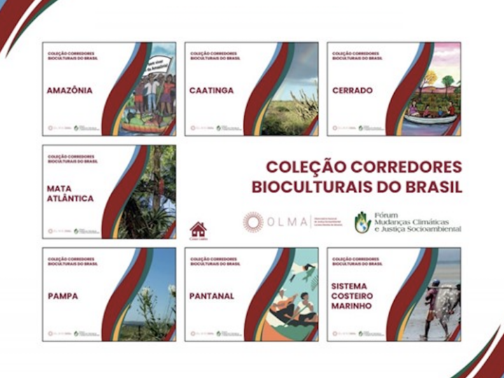 Comitê contribui com material de apoio para a Década da Restauração dos Ecossistemas da ONU