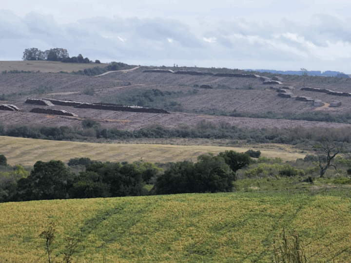 Entidades contestam versão do governo gaúcho sobre o Pampa apresentada na COP30