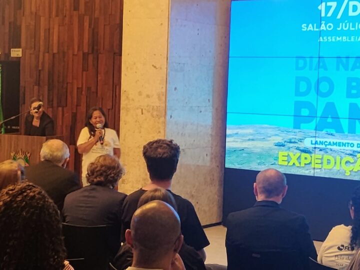 Comitê participa do lançamento do vídeo “Pampa: a força do bioma invisível” do Observatório do Código Florestal