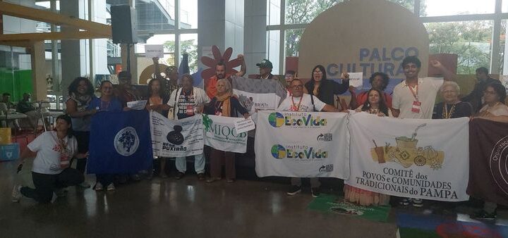 Na 3ª CNDRSS, Povos e Comunidades Tradicionais de todo o Brasil defendem regularização fundiária de seus territórios