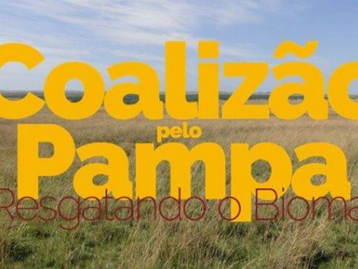 Liminar suspende iniciativa do Governo do RS de pagamento de serviços ambientais para lavouras de arroz