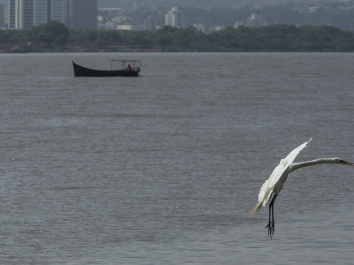 MPF ajuíza ação para que licenciamento ambiental de fábrica de celulose observe direitos de comunidades tradicionais